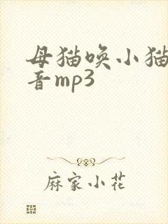 母猫唤小猫的声音mp3