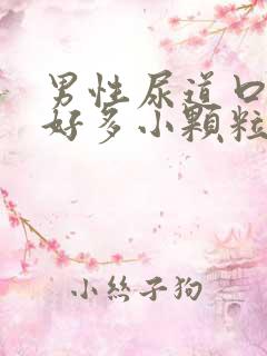 男性尿道口起了好多小颗粒