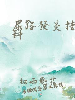 尿路发炎挂什么科