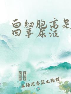 白细胞高是怎么回事尿液