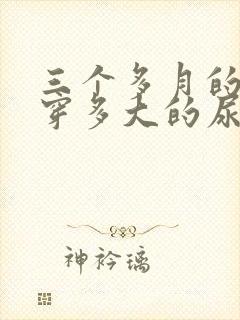 三个多月的宝宝穿多大的尿不湿