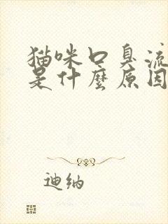 猫咪口臭流口水是什么原因吃什么药