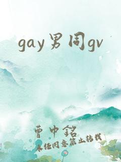 gay男同gv
