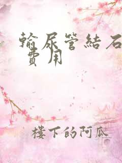 输尿管结石软镜 费用