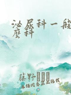 泌尿科一般挂什么科