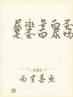 尿微量白蛋白高是蛋白尿吗