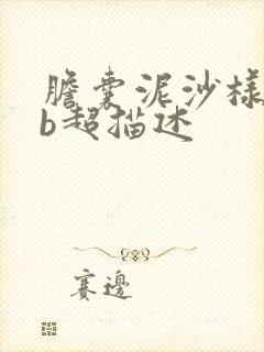 胆囊泥沙样结石b超描述