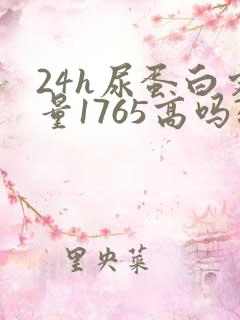 24h尿蛋白定量1765高吗?