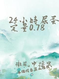 24小时尿蛋白定量0.78