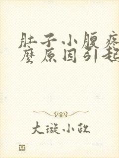 肚子小腹疼是什么原因引起的女