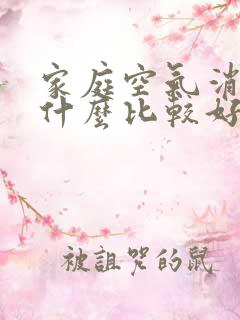 家庭空气消毒用什么比较好