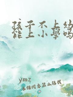 孩子不上幼儿园能上小学吗