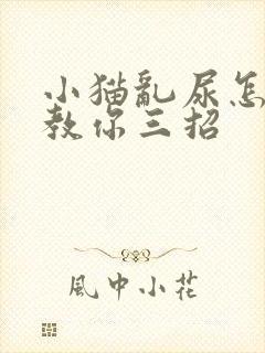 小猫乱尿怎么办教你三招