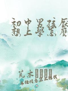 初中男孩厌学不想上学怎么办