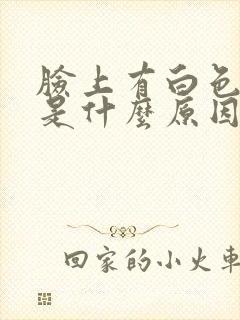 脸上有白色点点是什么原因