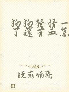 狗狗发情一个月了还有血怎么回事