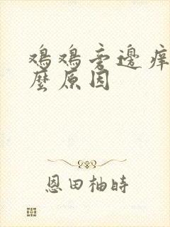 鸡鸡旁边痒是什么原因