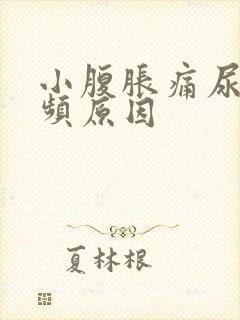 小腹胀痛尿急尿频原因