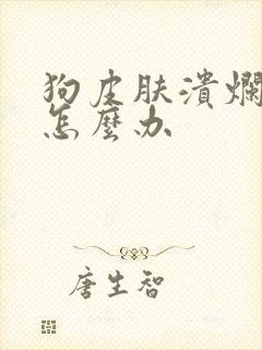 狗皮肤溃烂化脓怎么办