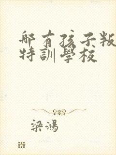 哪有孩子叛逆期特训学校