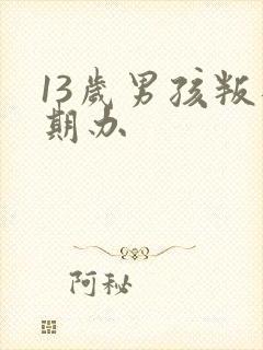 13岁男孩叛逆期办