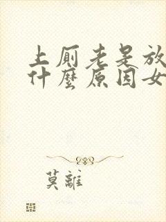 上厕老是放屁是什么原因女性