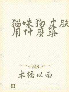 猫咪狗皮肤问题用什么药