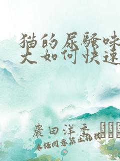 猫的尿骚味特别大如何快速去除