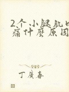 2个小腿肌肉酸痛什么原因