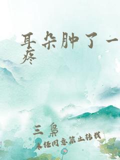 耳朵肿了一碰就疼