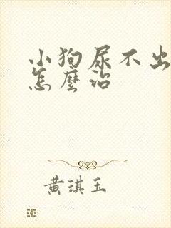 小狗尿不出来尿怎么治