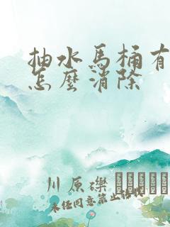 抽水马桶有臭味怎么消除