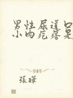 男性尿道口长个小肉疙瘩是怎么回事