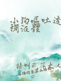 小狗呕吐透明粘稠液体