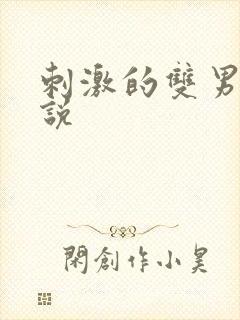 刺激的双男主小说