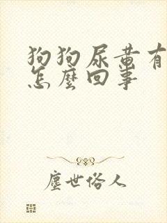 狗狗尿黄有泡沫怎么回事