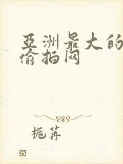 亚洲最大的自拍偷拍网