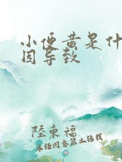 小便黄是什么原因导致