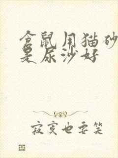 仓鼠用猫砂好还是尿沙好