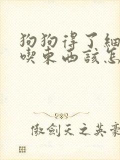 狗狗得了细小不吃东西该怎么办