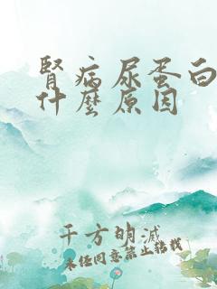 肾病尿蛋白高是什么原因