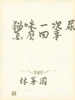 猫咪一次尿一点怎么回事