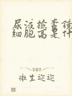 尿液检查镜检白细胞高是什么原因