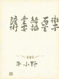 胆囊结石微创手术要插管子吗