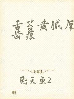 舌苔黄腻厚白有齿痕