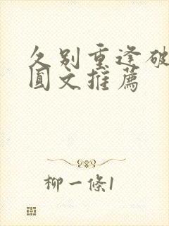 久别重逢破镜重圆文推荐