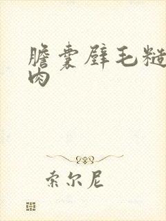 胆囊壁毛糙,息肉