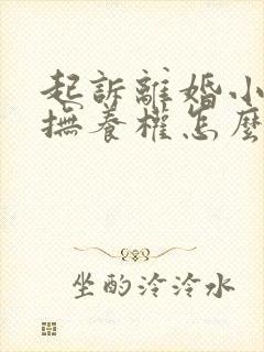 起诉离婚小孩的抚养权怎么判