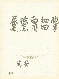 尿检白细胞酶高是怎么回事