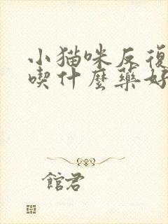 小猫咪反复尿闭吃什么药好